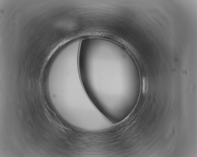 X0000084580723200702230934