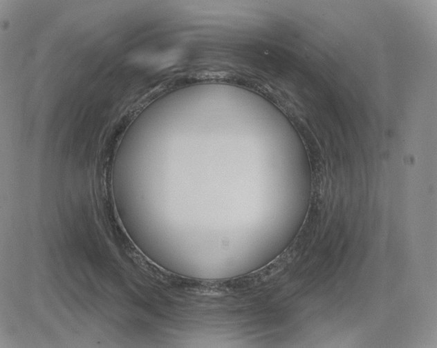 X0000084580743200702230935