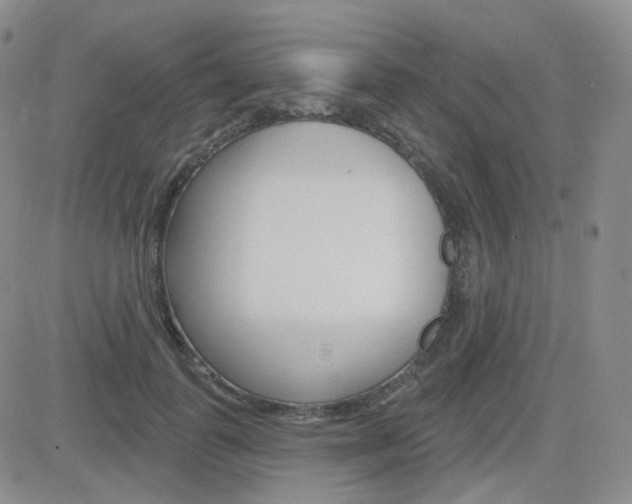 X0000084580747200702230935