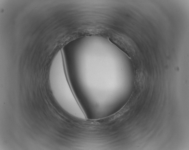 X0000084580752200702230935