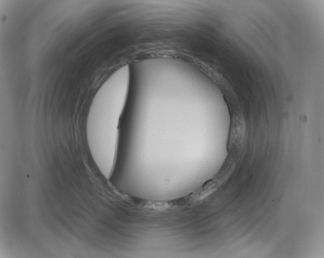 X0000084580767200702230935