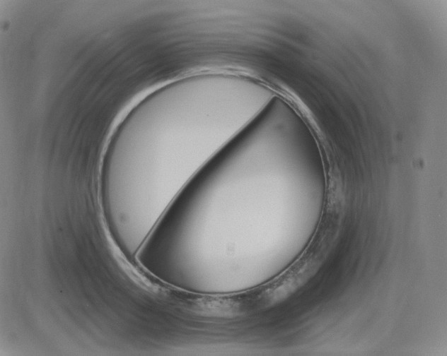 X0000084580795200702230934