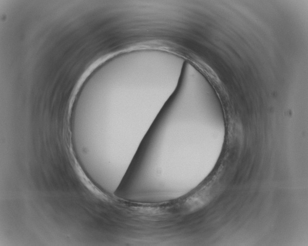 X0000084580800200702230934
