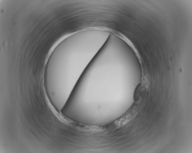 X0000084580811200702230934