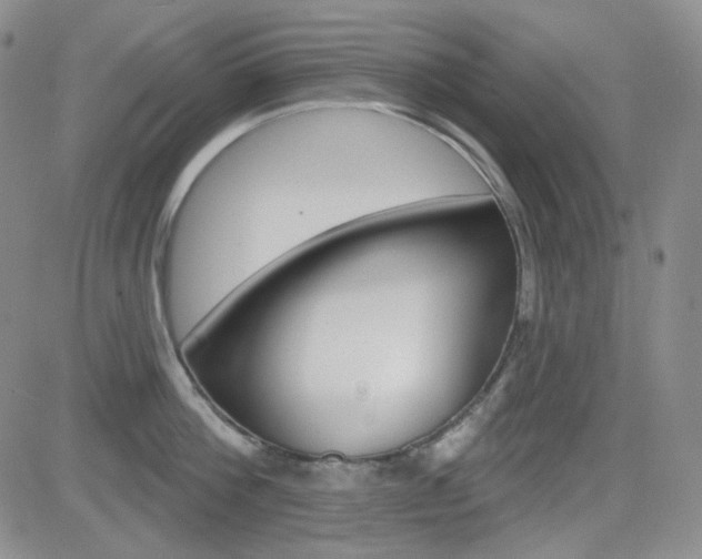 X0000084580812200702230934