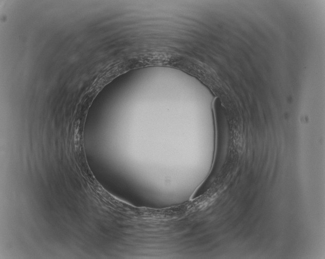 X0000084580818200702230933