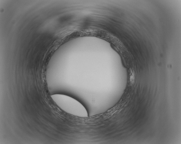 X0000084580819200702230933