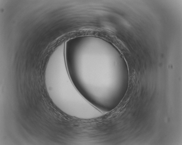 X0000084580821200702230933