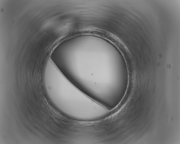 X0000084580825200702230933