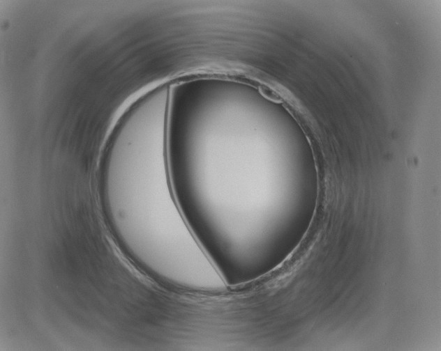 X0000084580838200702230933