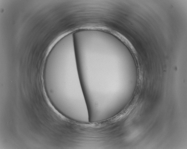 X0000084580855200702230933