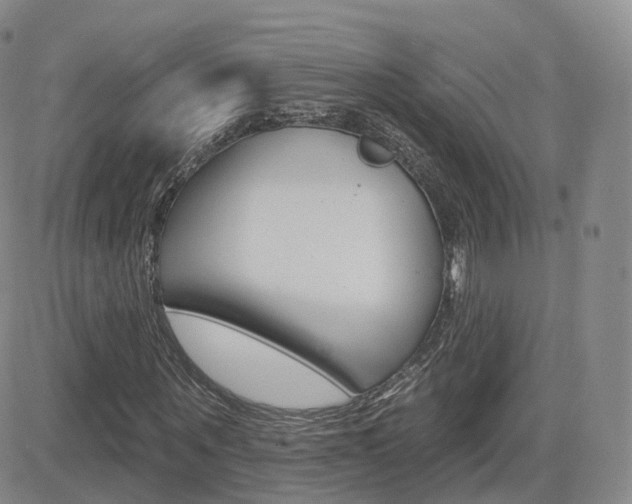 X0000084580867200702230933