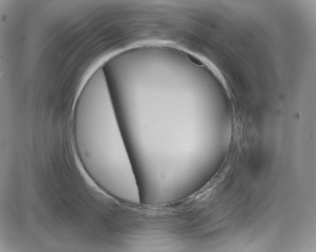X0000084580911200702230932