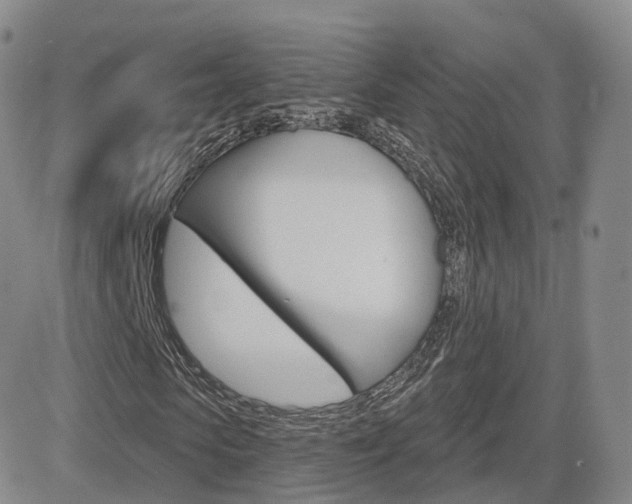 X0000084580913200702230931