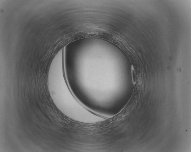 X0000084580916200702230931