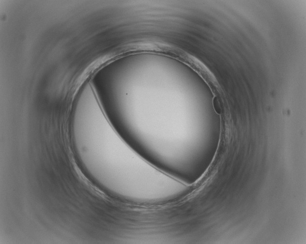 X0000084580938200702230932