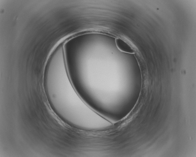 X0000084580940200702230932