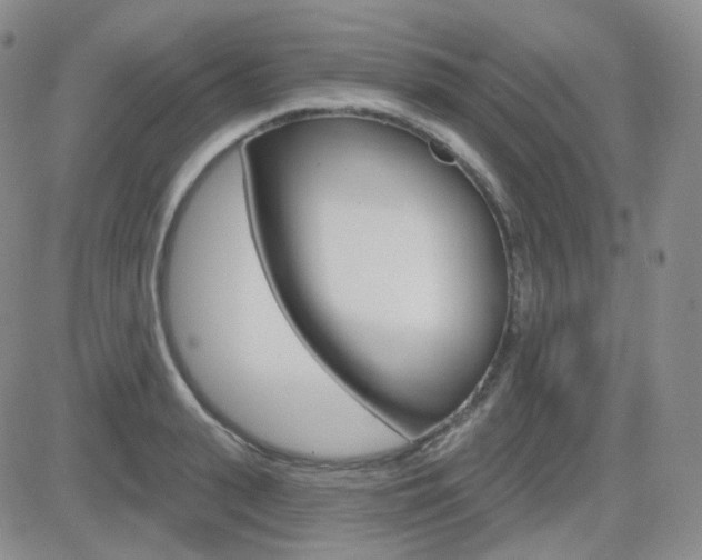X0000084580943200702230932