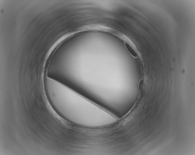 X0000084580947200702230932