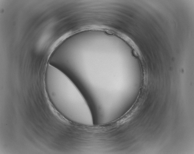 X0000084580954200702230932