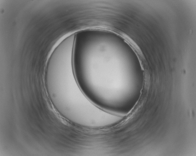 X0000084580956200702230932