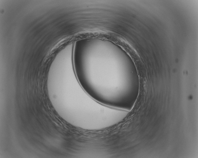 X0000084580968200702230931