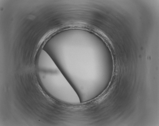 X0000084580978200702230931
