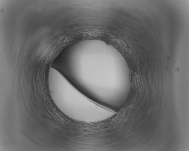 X0000084581009200702230930