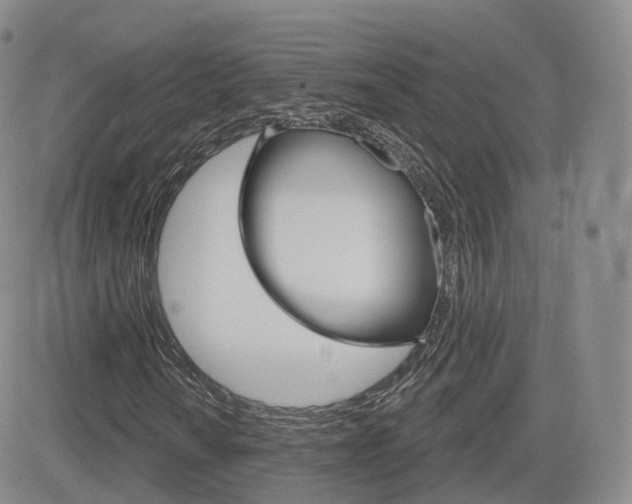 X0000084581010200702230930