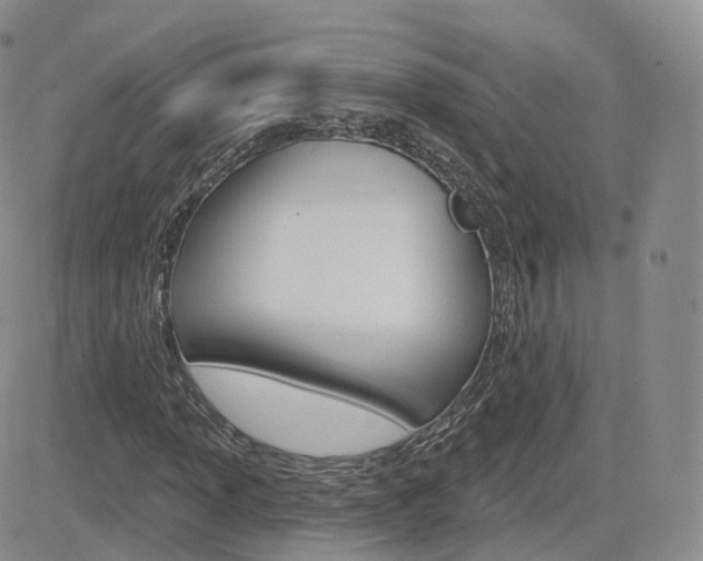 X0000084581013200702230930