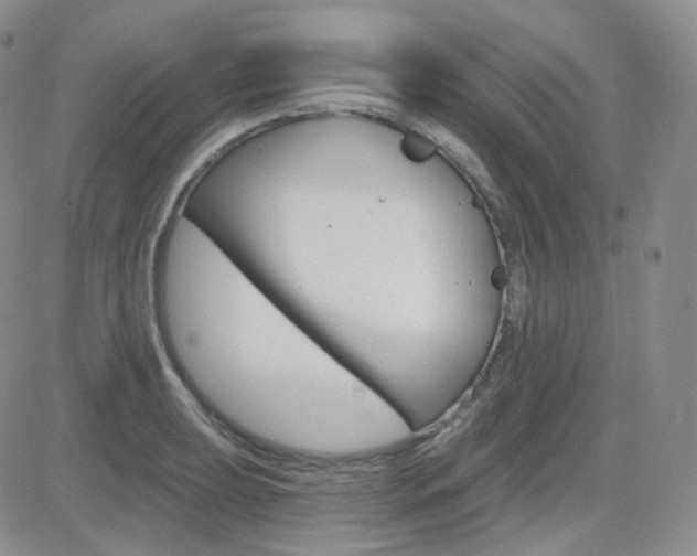 X0000084581039200702230930