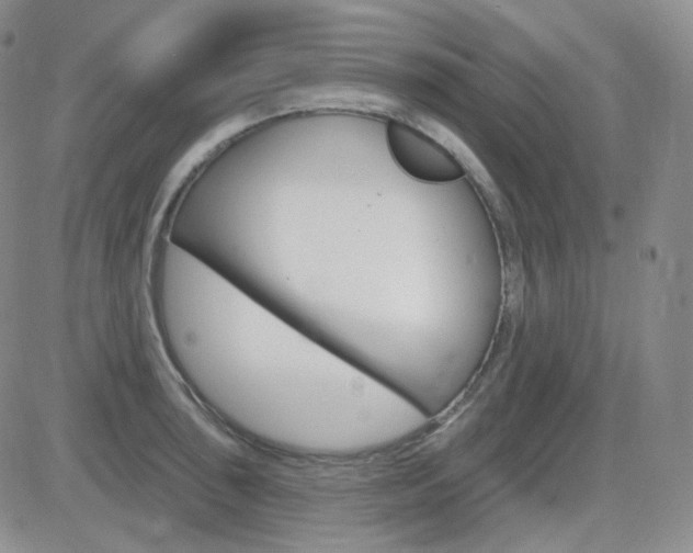 X0000084581043200702230930
