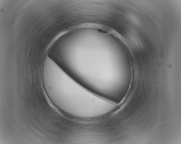 X0000084581049200702230930