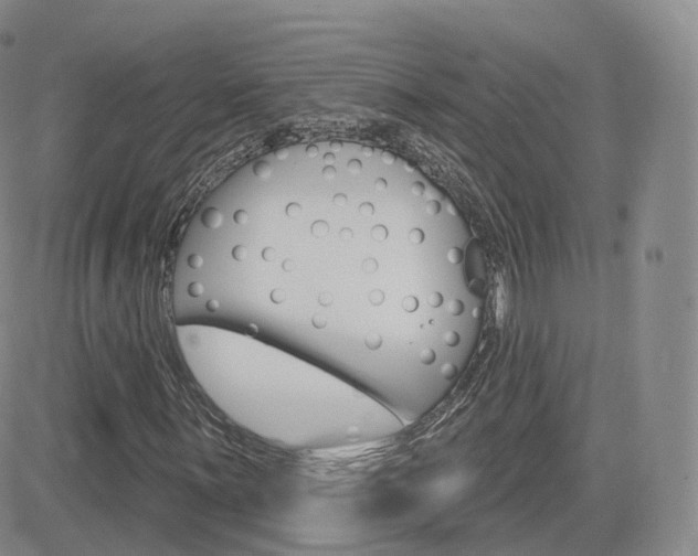 X0000084581059200702230929