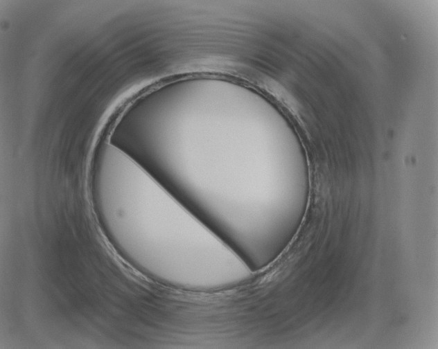 X0000084581072200702230929