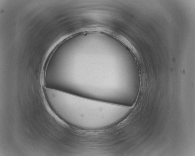 X0000084581084200702230929