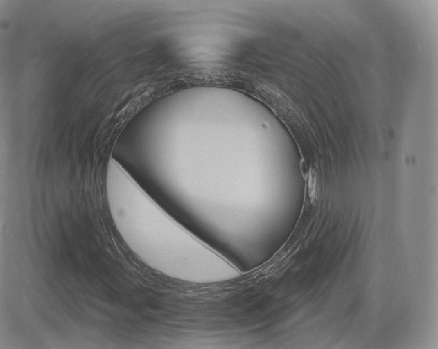 X0000084581107200702230928