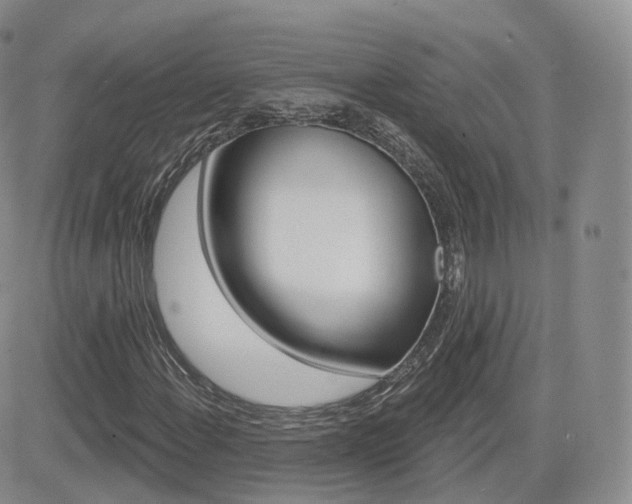 X0000084581108200702230928