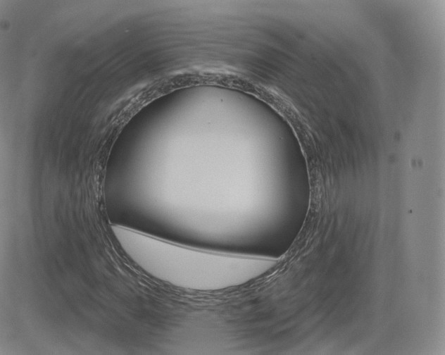 X0000084581110200702230928