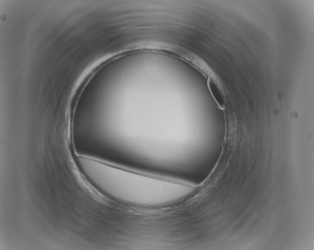 X0000084581132200702230928