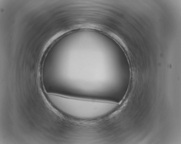 X0000084581133200702230928