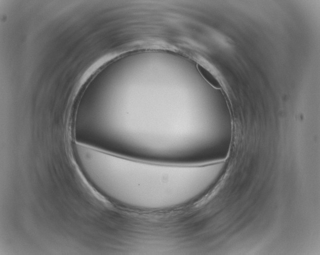 X0000084581141200702230929