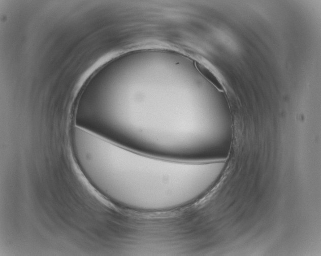 X0000084581142200702230929