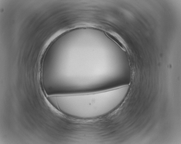 X0000084581143200702230929
