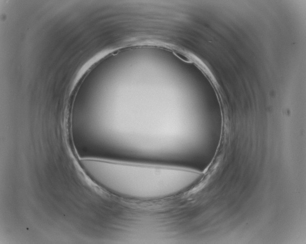 X0000084581149200702230929