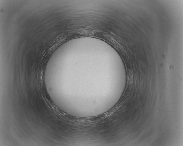 X0000084581154200702230928