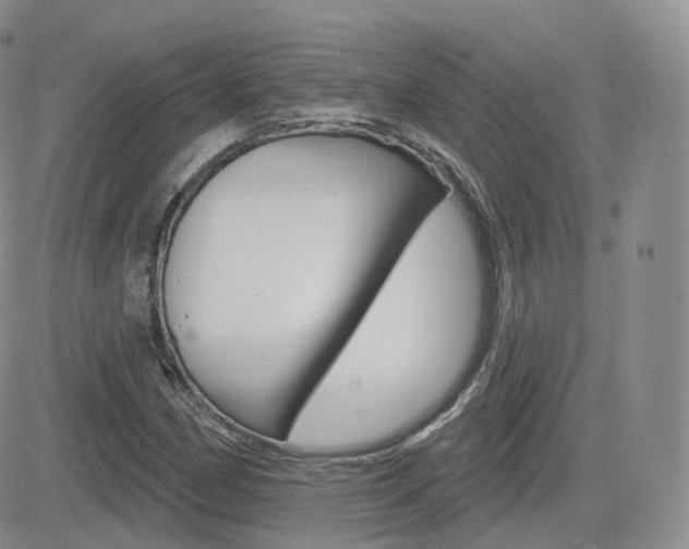 X0000084581162200702230928