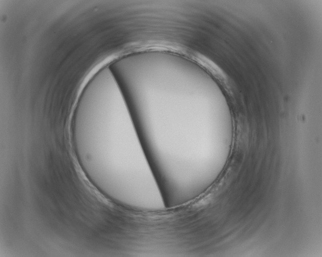X0000084581190200702230927