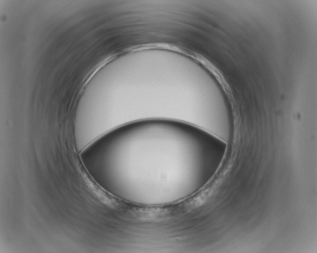 X0000084581193200702230927