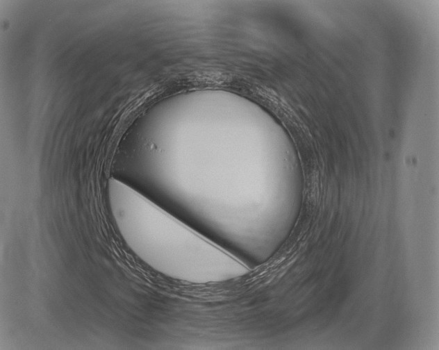 X0000084581201200702230926